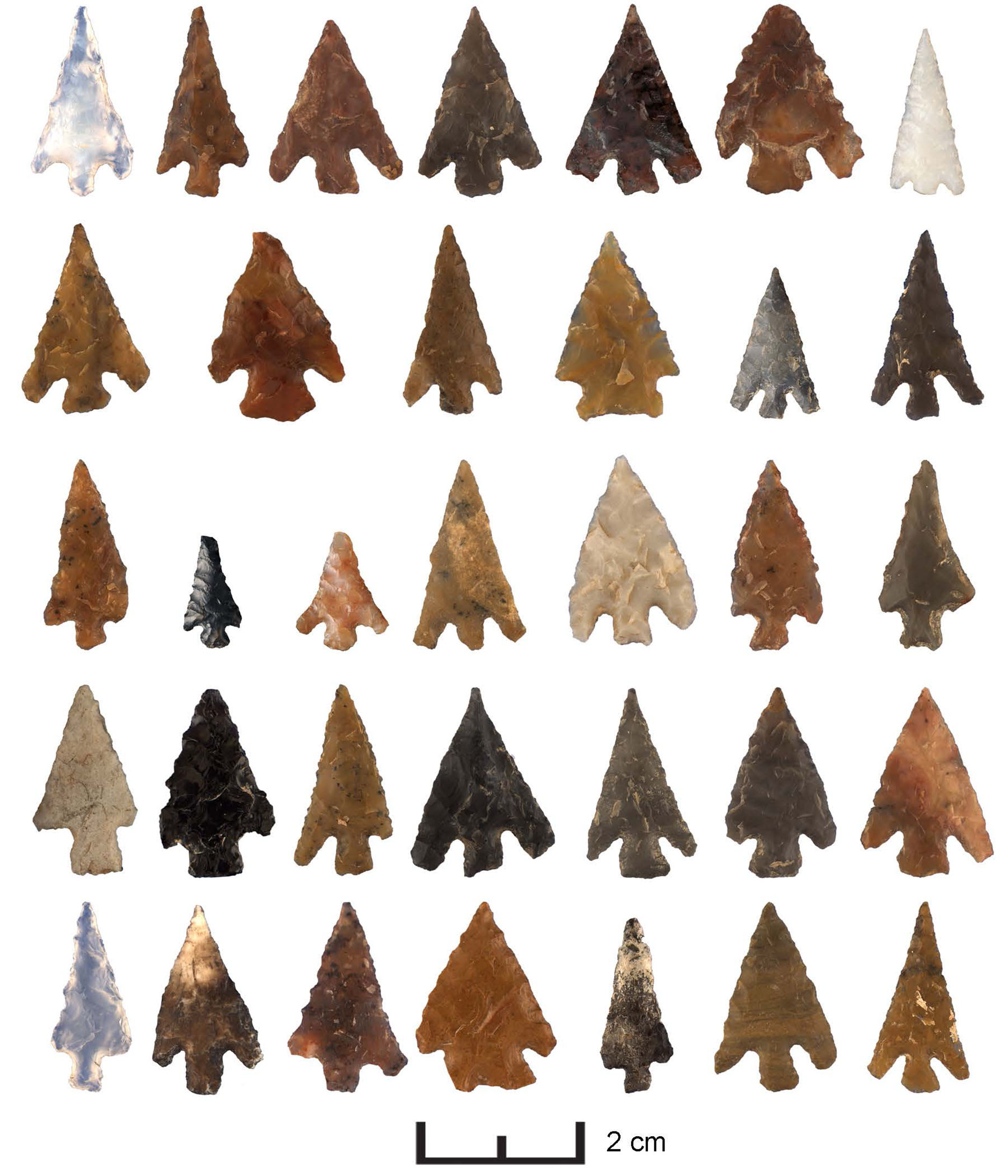 Select Rosegate projectile points from Wolf Village.