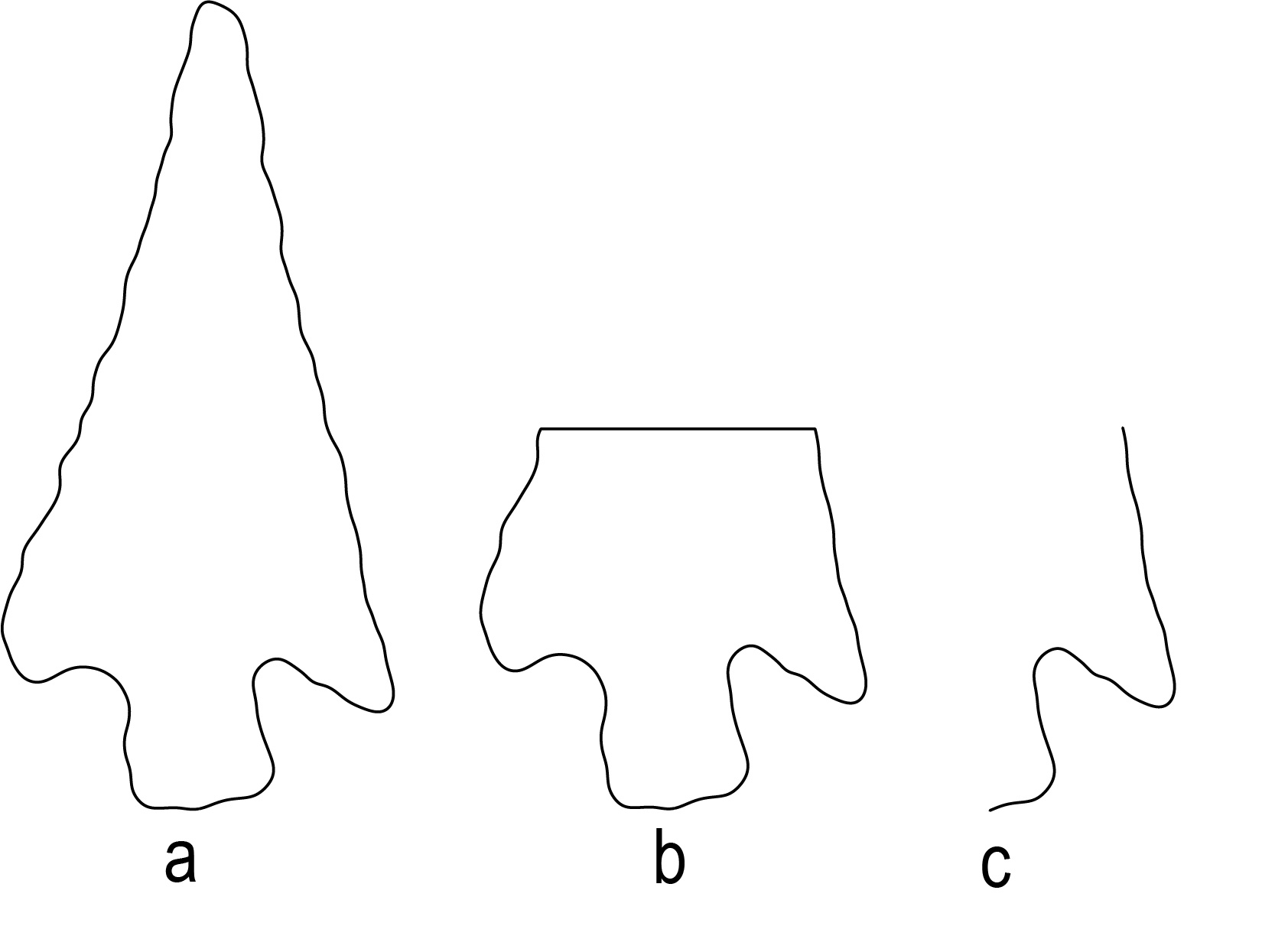 Demonstration of how a projectile point outline is reduced to one corner for geometric morphometric analysis.